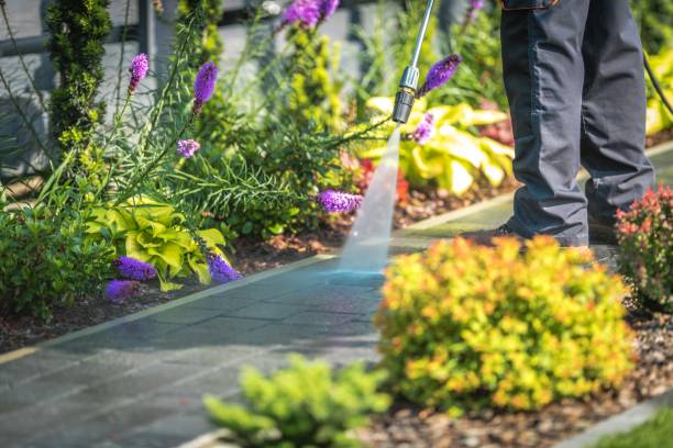 Best Restaurant Pressure Washing  in Orangeville, UT